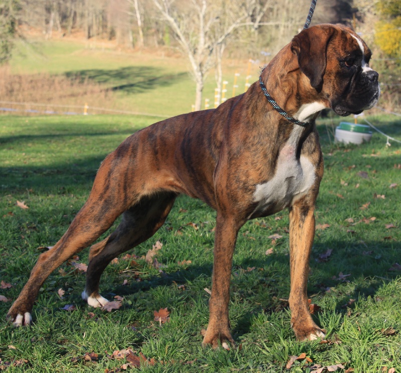 First  lady de l'Arche des Terres du Sud