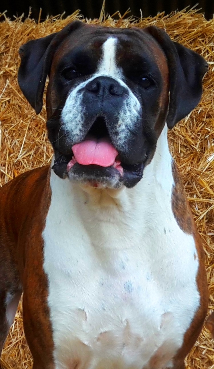 I'm lolita lempika de l'Arche des Terres du Sud